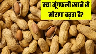 Can peanuts cause belly fat । weight gain । peanuts And weight gain