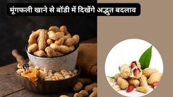 बेहतरीन नाश्ता है मूंगफली, रोजाना 1 मुट्ठी खा लीजिए बॉडी बन जाएगी फौलाद, सदगुरु ने बताएं फायदे