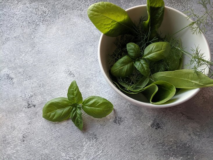 Boost immunity with green leaves