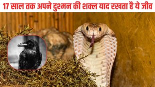 Nagin ka badla| Naag Nagin ka badla| Ye jeev lete hain badla