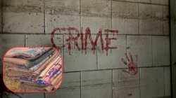 गर्भवती बहू की हत्या कर लाश के किए 12 टुकड़े, अलग-अलग बोरे में भरा और…, सास ने ऐसे दिया वारदात को अंजाम, यह दृश्यम से आगे की सोच है