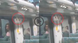 VIDEO: एक्सप्रेस ट्रेन की AC कोच में सांप देखकर डरे यात्री, सीट छोड़कर भागने लगे इधर-उधर, मच गई चीख-पुकार