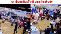 ‘आज तो पार्टी करेंगे…’, जिंदा मछलियों से भरा पिकअप पलटा तो लूटने पहुंच गए लोग, बोरे में भरकर ले गए मछली