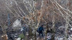 डॉग्स को रेस्क्यू कर ले जा रहा विमान हुआ क्रैश, हादसे में पायलट की मौत लेकिन बच गए 2 डॉग