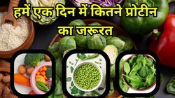 Health Tips: हेल्दी डाइट के बाद भी महसूस हो रही कमजोरी, तो प्रोटीन से भरपूर इन 5 सब्जियों का करें सेवन
