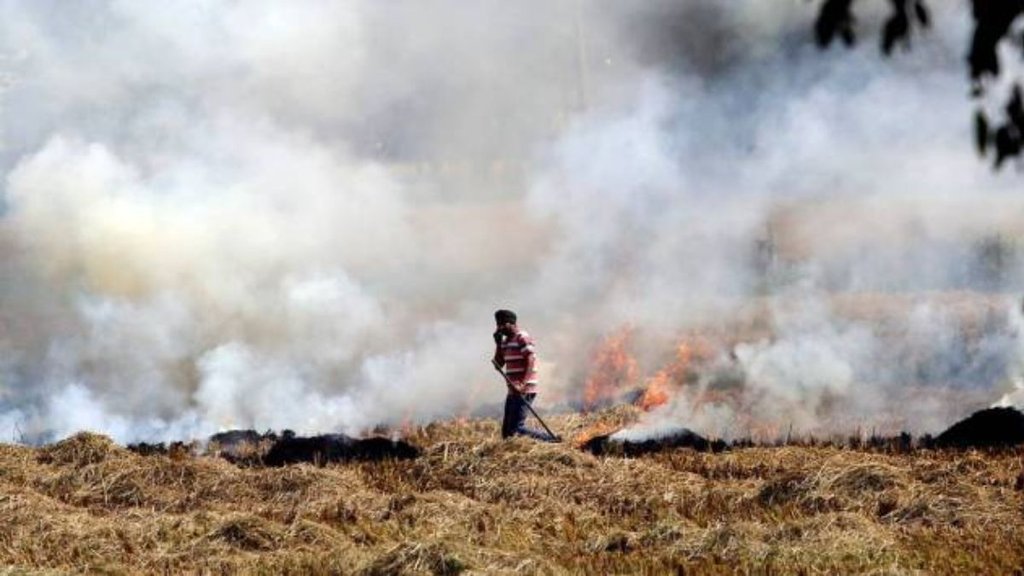 Punjab Stubble Burning, Delhi Air Pollution,