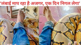 python viral video, वायरल न्यूज, Man playing with python