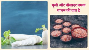 digestion, gas acidity,acidity cure, radish for gas acidity,radish benefits, Acharya Balkrishna, Ayurveda, Ayurved, Health, Health Benefits,