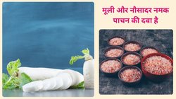 पेट में गैस और एसिडिटी का बैंड बजा देगा मूली के साथ इस नायाब चीज का सेवन, आचार्य बालकृष्ण ने बताए इसके फायदे