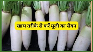 Winter diet,Radish for immunity,Radish Benefits in Winters,Radish Benefits