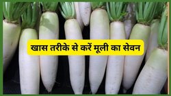 इस सर्दी में खाएंगे ये सफेद चीज तो बीमारियों के खिलाफ ढाल बन जाएगी बॉडी, 4 हैरान कर देने वाले फायदे जानिए