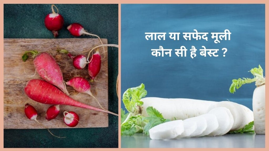 digestion, gas acidity,acidity cure, radish for gas acidity,radish benefits, Acharya Balkrishna, Ayurveda, Ayurved, Health, Health Benefits, Natural Remedies