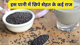 sabja seeds water for fat loss: सब्जा बीज पानी के फायदे