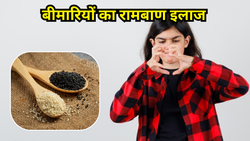 कोलेस्ट्रॉल का ‘काल’ है ये बीज, बस रोज एक चम्मच खा लें, इन 3 बीमारियों का खतरा भी हो जाएगा दूर