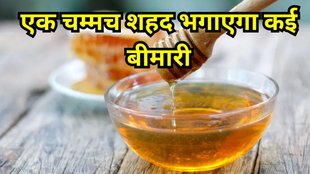 shahad khane ke fayde: शहद खाने के फायदे