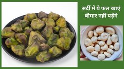 Water Chestnut Benefits: सर्दी का सुपरफूड है सिंघाड़ा, खाने से पाचन रहता है दुरुस्त, बॉडी को मिलते हैं 4 फायदे