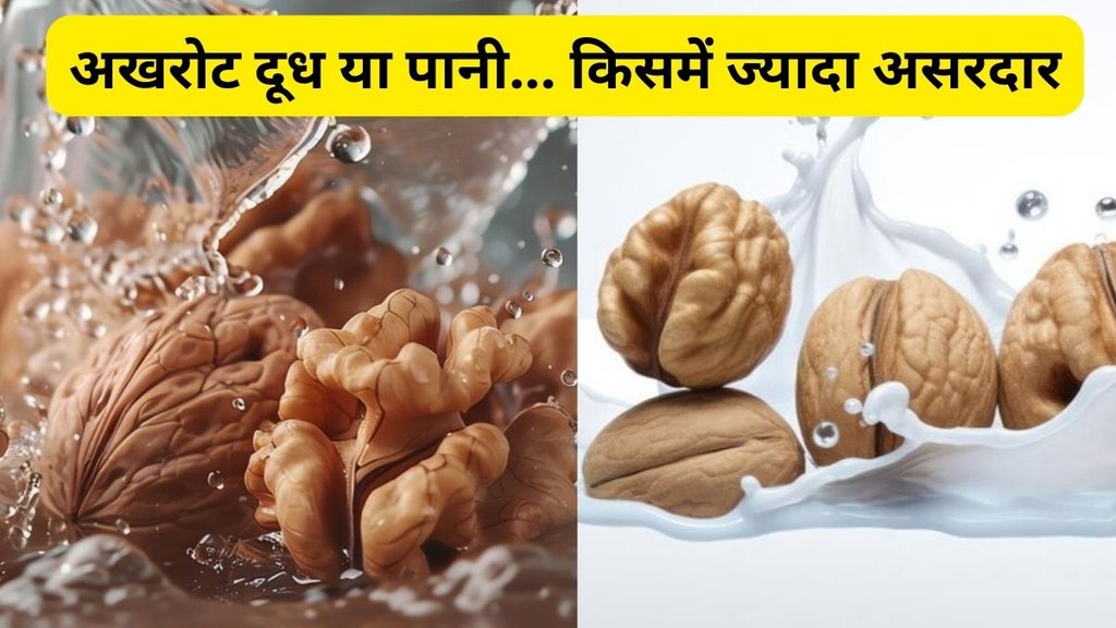 soaking walnuts in water vs milk: अखरोट के फायदे