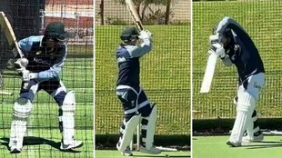 steve smith, ind vs aus, bgt 2024