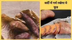 Sweet Potatoes: सर्दियों में क्यों खाना चाहिए शकरकंद ? क्या इसे खाने से वजन बढ़ता है, एक्सपर्ट से जानिए