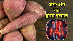 sweet potato benefits: शकरकंद के फायदे