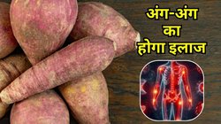 सर्दियों में शकरकंद क्यों खानी चाहिए? दिल से लेकर शरीर के अंग-अंग का होगा इलाज, जानिए इसके 5 फायदे