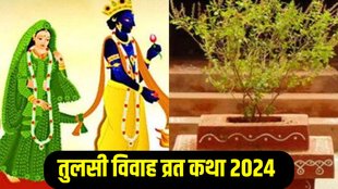 Tulsi Vivah, Tulsi Vivah vrat, Tulsi Vivah vrat katha, Tulsi Vivah vrat vidhi,