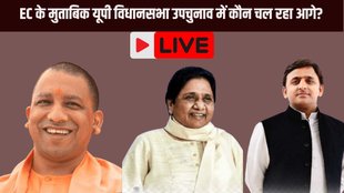 up bypoll eci live | bjp |
