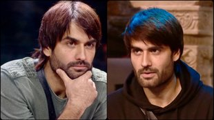 vivian dsena