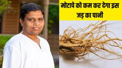 Morning Mantra: आचार्य बालकृष्ण ने बताया मोटापा कम करने के लिए खाली पेट पी लें इस जड़ का पानी, जानें पेट की चर्बी को कैसे करता है कम