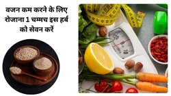 रोजाना बस 1 चम्मच इस चीज को खा लीजिए पेट की गंदगी हो जाएगी दूर, मोटापा और कोलेस्ट्रॉल रहेगा कंट्रोल, जानिए फायदे