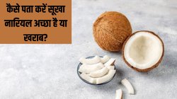 Bhai Dooj 2024: ऐसे पता करें गोला अच्छा है या खराब, बेहद आसान है तरीका