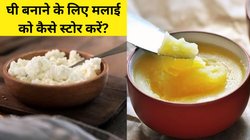 घी बनाने के लिए मलाई कैसे स्टोर करें? इन टिप्स से नहीं आएगी मलाई में बदबू, महीनों तक रहेगी फ्रैश