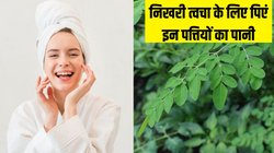 Morning Mantra: स्किन के लिए औषधि है इन पत्तियों का पानी, रोज खाली पेट पीने पर मिलेंगे ये मैजिकल फायदे