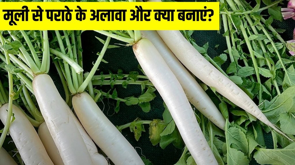 आप मूली और चावल की कचोरी बनाकर खा सकते हैं। इस डिश का स्वाद आपके घर के बच्चों से लेकर बड़ों तक को खूब पसंद आने वाला है। (Photo Source: Pexels)


