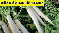 मूली से पराठे के अलावा और क्या बनाया जा सकता है? सर्दियों में जरूर ट्राई करें ये डिश