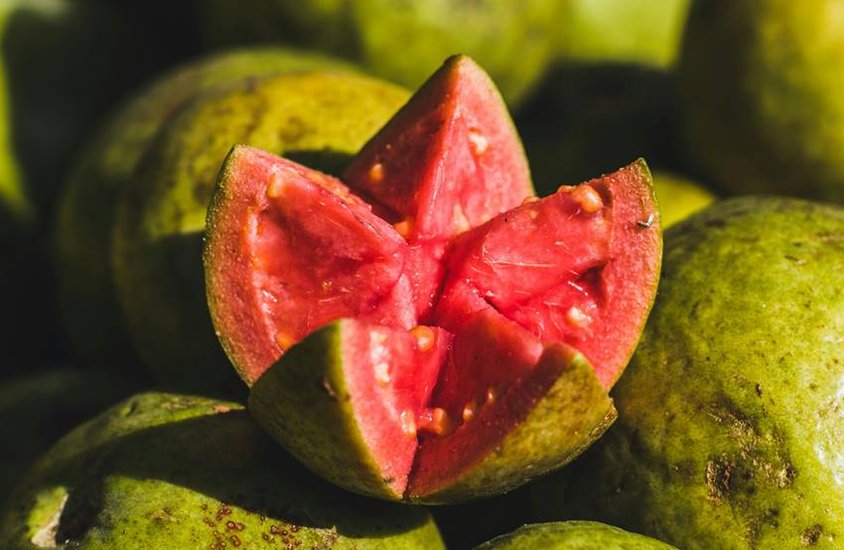 red guava benefits