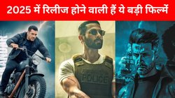 Movies Releasing in 2025: नए साल में मिलेगा मनोरंजन का पूरा डोज, सलमान खान की ‘सिकंदर’ समेत आने वाली हैं ये फिल्में