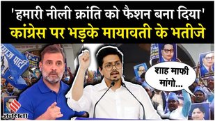 BSP workers staged demonstrations across India, condemning the statement and demanding respect for the Ambedkar.