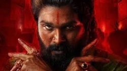 कैसे फिट रहते हैं Allu Arjun? साउथ के सुपरस्टार ‘पुष्पाराज’ ने खुद बताया अपना डाइट प्लान