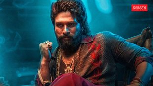 Pushpa 2 Box office Collection day 25