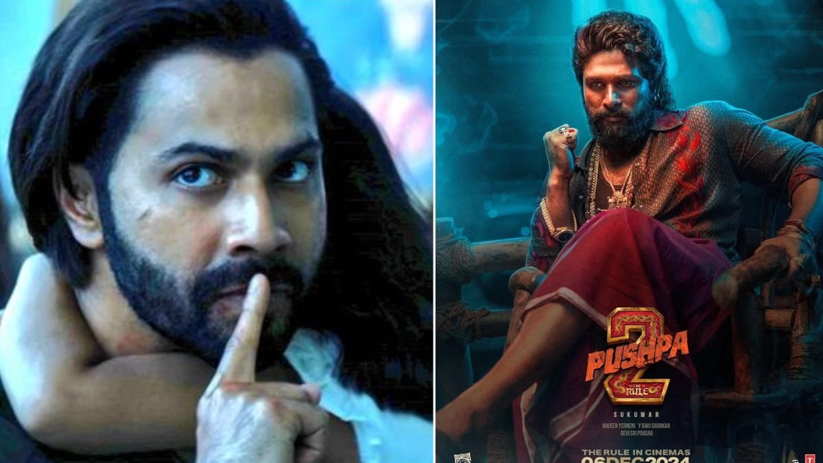 Baby John, Baby John Box Office Collection, Baby John Box Office