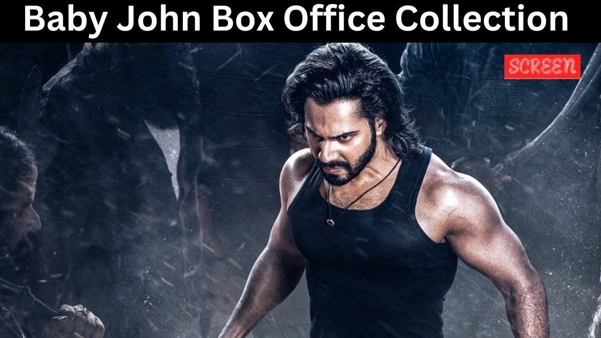 Baby John Box Office Collection