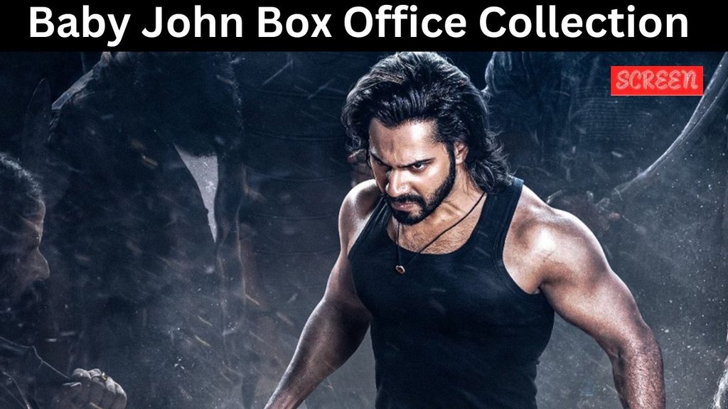 Baby John Box Office Collection