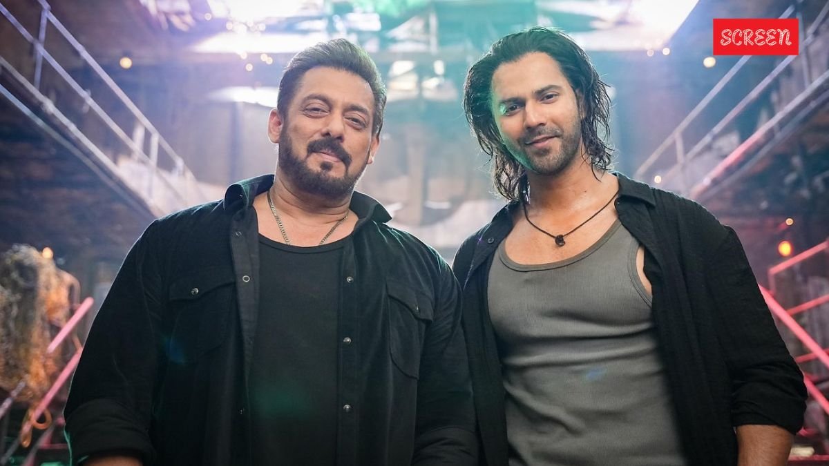 Baby John, Baby John Hit or Flop, Baby John Box Office, Baby John Box Office Report Baby John, Baby John Hit or Flop, Baby John Box Office, Baby John Box Office Report