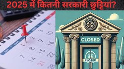 Holiday List 2025: नए साल में किस-किस दिन सरकारी छुट्टी? जानें कुल कितने दिन बंद रहेंगे बैंक, देख लें पूरी लिस्ट