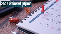 Holiday List 2025: इस राज्य में सरकारी कर्मचारियों की ‘बल्ले-बल्ले’, अगले साल मिलेंगी 150 छुट्टियां
