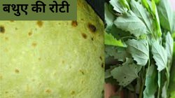 Bathua ki Roti कैसे बनाएं? खाने में स्वादिष्ट और सेहत के लिए है फायदेमंद, यहां जान लें आसान रेसिपी