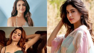 Year Ender 2024, Bollywood Celebs Debut in South, South Celebs debut in Hindi Cinema