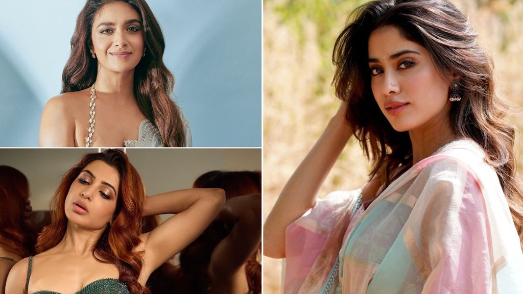 Year Ender 2024, Bollywood Celebs Debut in South, South Celebs debut in Hindi Cinema