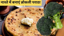 Morning Mantra: सुबह नाश्ते में झटपट बनाएं ब्रोकली पराठा, बच्चों और बूढ़ों के लिए भी है हेल्दी; ऐसे करें तैयार